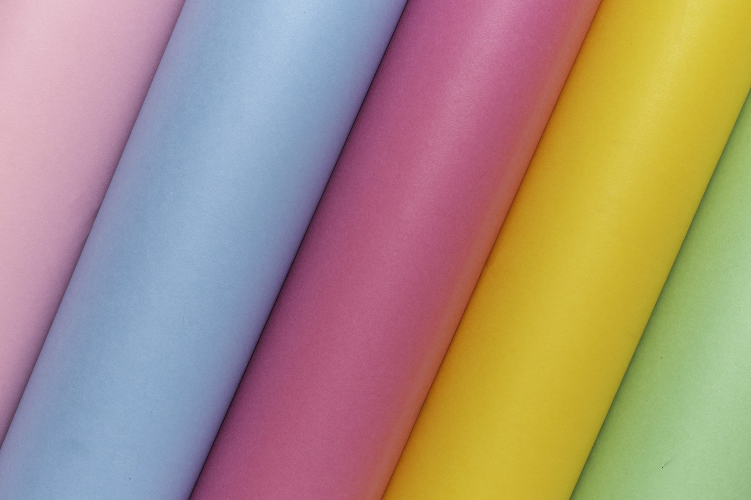 Where to Buy Photo Backdrops LISH Creative