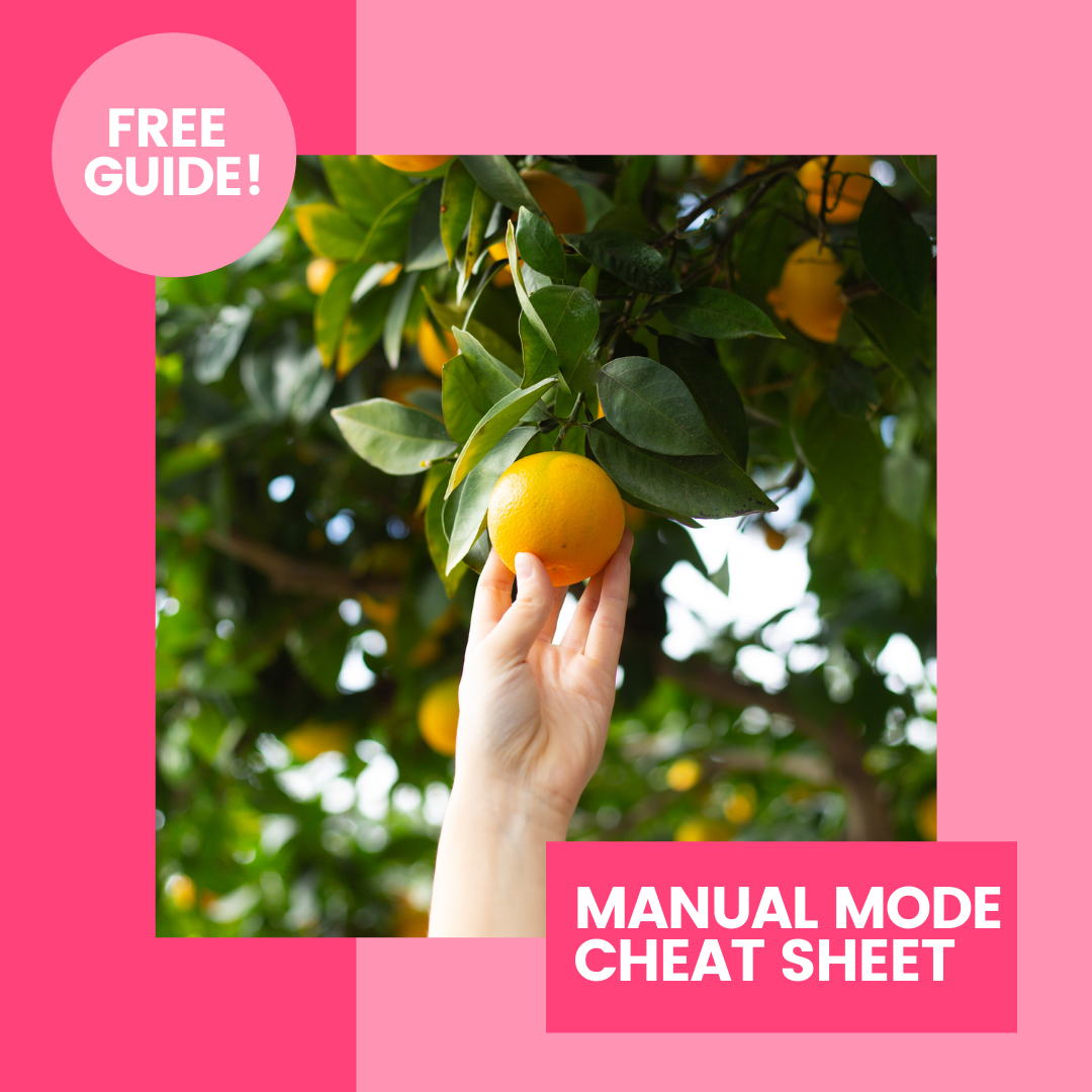 promo for free guide: manual mode cheat sheet