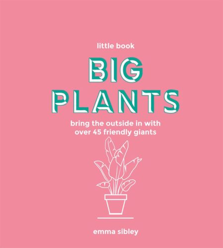 "Big Plants" pink book